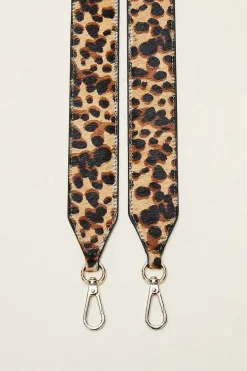 Anse Cesar Leopard