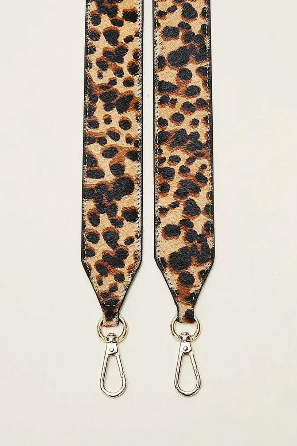 Anse Cesar Leopard