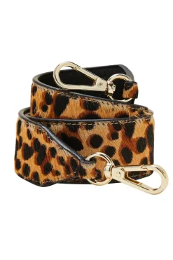 Anse Courte Pony Leopard