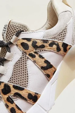 Baskets Astor Sable Et Guepard