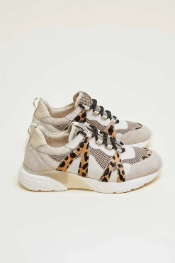 Baskets Astor Sable Et Guepard
